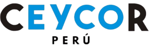 Cercos Eléctricos En Lima | Venta, Instalación Y Mantenimiento Profesional                                                                  